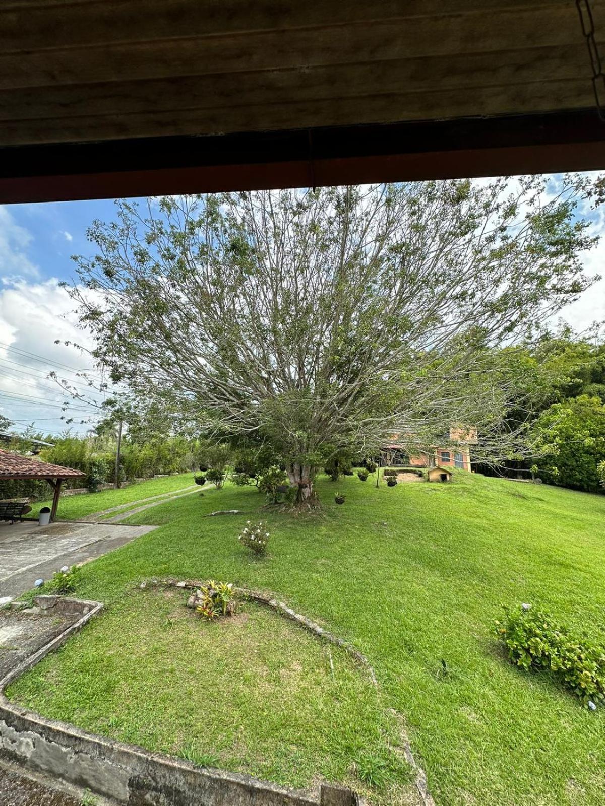 Filandia - Finca Rural La Guadalupana Exterior foto